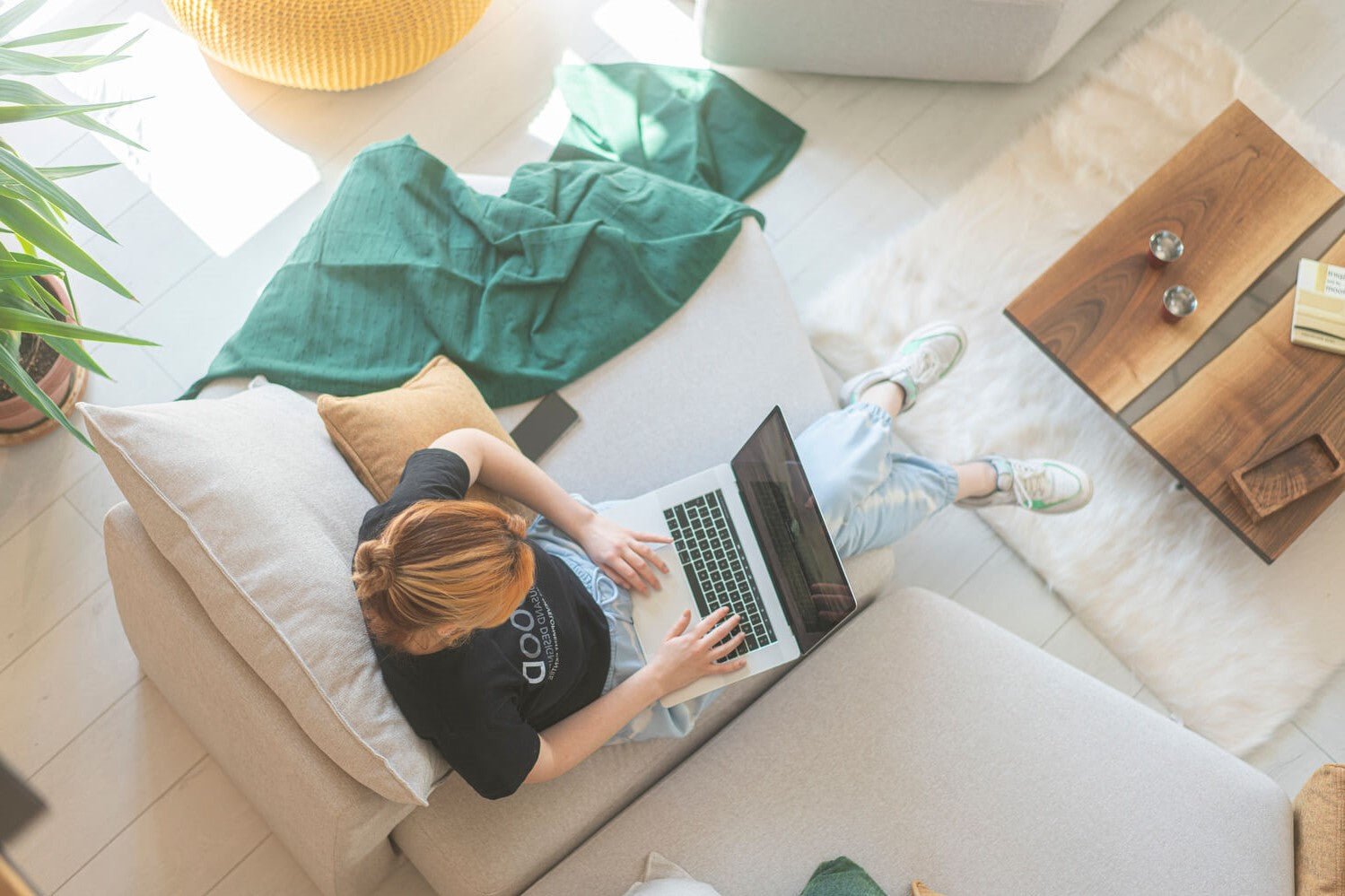 Insecten in huis – tips & tricks voor een insectenvrije woning