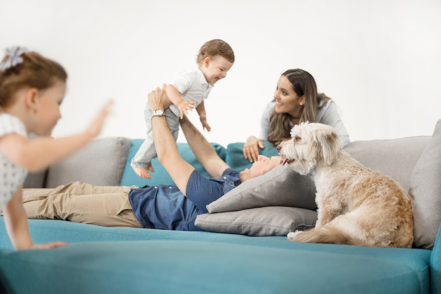 Kattenurinevlekken in de sofa? Zo verwijder je ze snel en eenvoudig!