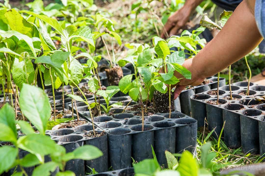 Duurzame sofa's: Waarop je moet letten bij de aankoop