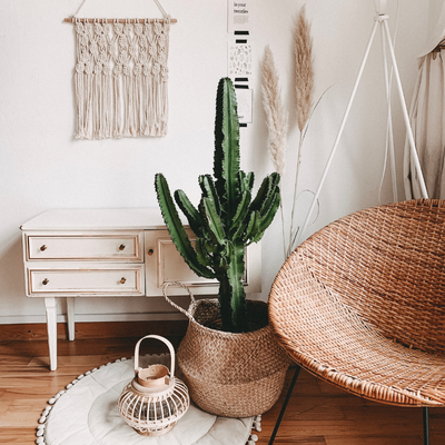 The Boho Style - Hoe zet ik een boho -woonkamer op?