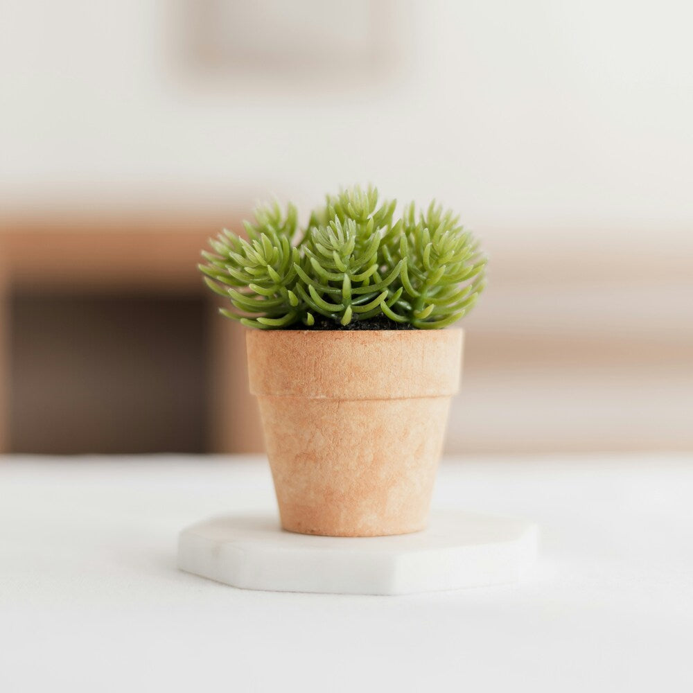 Onderhoudsvriendelijke planten en kunstplanten in de woonkamer: tips en tricks voor de beste decoratie